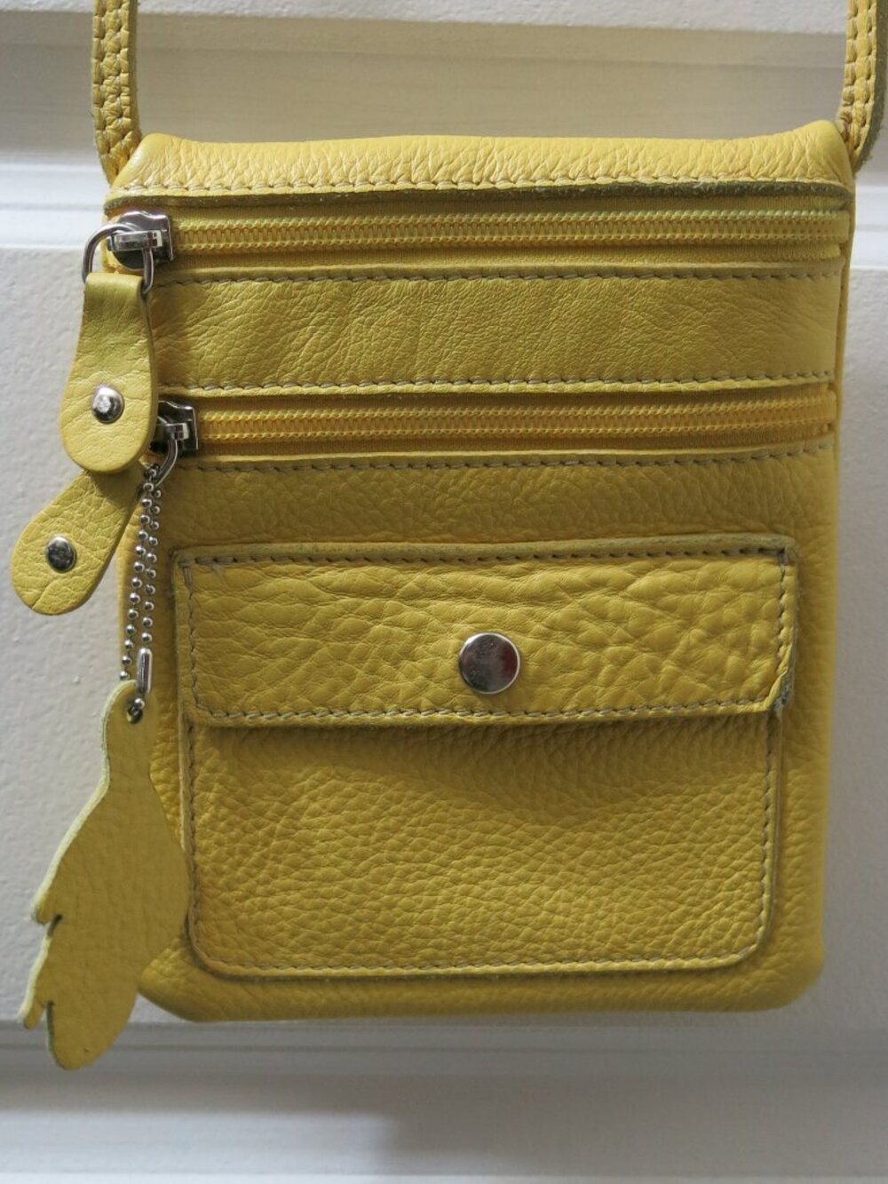 Roots Canada Genuine Leather Multi Pocket Beaver Charm Small Crossbody Bag